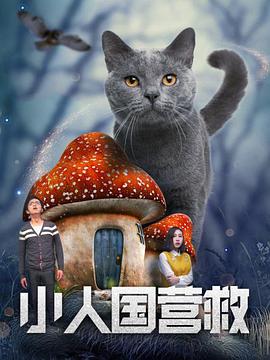 东方影库存1800d